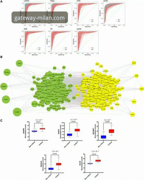 从数据到洞察：AC米兰比赛结果教程的深度分析与平台化趋势